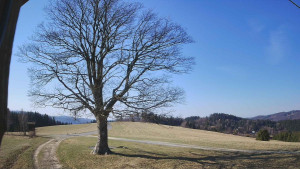 Bludný - Rajnochovice Troják - Bludný - Rajnochovice Troják - 14.3.2026 v 09:00 Bludný - Rajnochovice Troják - Bludný - Rajnochovice Troják - 14.3.2026 v 09:00