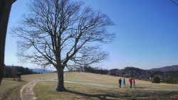 Bludný - Rajnochovice Troják