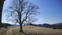 Bludný - Rajnochovice Troják