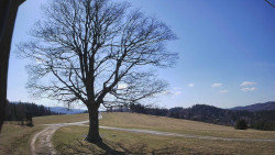 Bludný - Rajnochovice Troják