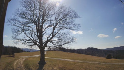 Bludný - Rajnochovice Troják