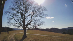 Bludný - Rajnochovice Troják