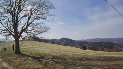 Bludný - Rajnochovice Troják