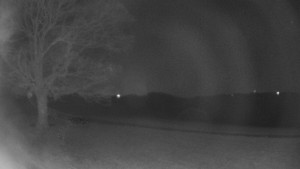 Bludný - Rajnochovice Troják - Bludný - Rajnochovice Troják - 23.3.2026 v 03:00 Bludný - Rajnochovice Troják - Bludný - Rajnochovice Troják - 23.3.2026 v 03:00