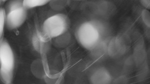 Bludný - Rajnochovice Troják - Bludný - Rajnochovice Troják - 27.3.2026 v 00:00 Bludný - Rajnochovice Troják - Bludný - Rajnochovice Troják - 27.3.2026 v 00:00