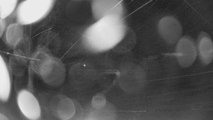 Bludný - Rajnochovice Troják - Bludný - Rajnochovice Troják - 27.3.2026 v 01:00 Bludný - Rajnochovice Troják - Bludný - Rajnochovice Troják - 27.3.2026 v 01:00