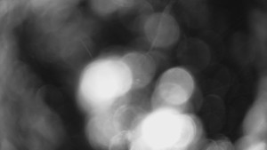 Bludný - Rajnochovice Troják - Bludný - Rajnochovice Troják - 27.3.2026 v 02:30 Bludný - Rajnochovice Troják - Bludný - Rajnochovice Troják - 27.3.2026 v 02:30