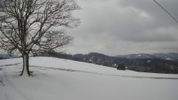 Bludný - Rajnochovice Troják