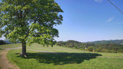 Bludný - Rajnochovice Troják