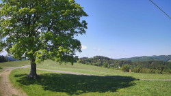 Bludný - Rajnochovice Troják