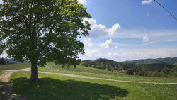 Bludný - Rajnochovice Troják