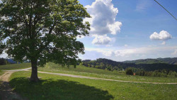 Bludný - Rajnochovice Troják