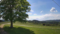 Bludný - Rajnochovice Troják