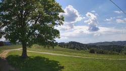 Bludný - Rajnochovice Troják