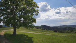 Bludný - Rajnochovice Troják
