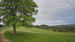 Bludný - Rajnochovice Troják