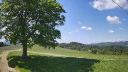 Bludný - Rajnochovice Troják