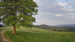 Bludný - Rajnochovice Troják