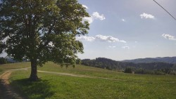 Bludný - Rajnochovice Troják