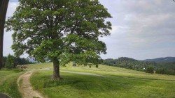 Wandern – Rajnochovice Troják
