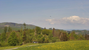 Bludný - Rajnochovice Troják - Bludný - Rajnochovice Troják - 30.4.2025 v 11:01 Bludný - Rajnochovice Troják - Bludný - Rajnochovice Troják - 30.4.2025 v 11:01