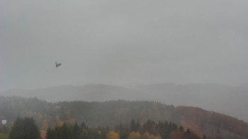 Snímek    27.10.2025 v 13:01