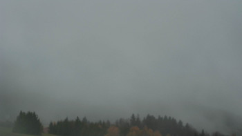 Snímek    3.11.2025 v 06:31