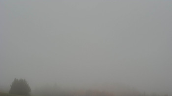 Snímek    3.11.2025 v 10:31