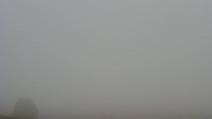 Bludný - Rajnochovice Troják - Bludný - Rajnochovice Troják - 14.11.2025 v 10:31 Bludný - Rajnochovice Troják - Bludný - Rajnochovice Troják - 14.11.2025 v 10:31