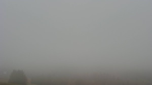 Bludný - Rajnochovice Troják - Bludný - Rajnochovice Troják - 14.11.2025 v 11:01 Bludný - Rajnochovice Troják - Bludný - Rajnochovice Troják - 14.11.2025 v 11:01