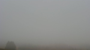 Bludný - Rajnochovice Troják - Bludný - Rajnochovice Troják - 14.11.2025 v 11:31 Bludný - Rajnochovice Troják - Bludný - Rajnochovice Troják - 14.11.2025 v 11:31