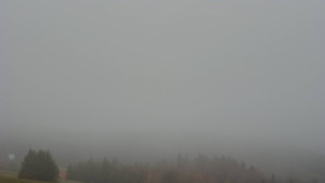 Bludný - Rajnochovice Troják - Bludný - Rajnochovice Troják - 14.11.2025 v 15:31 Bludný - Rajnochovice Troják - Bludný - Rajnochovice Troják - 14.11.2025 v 15:31