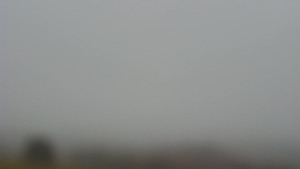 Bludný - Rajnochovice Troják - Bludný - Rajnochovice Troják - 14.11.2025 v 16:01 Bludný - Rajnochovice Troják - Bludný - Rajnochovice Troják - 14.11.2025 v 16:01