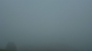 Bludný - Rajnochovice Troják - Bludný - Rajnochovice Troják - 14.11.2025 v 16:31 Bludný - Rajnochovice Troják - Bludný - Rajnochovice Troják - 14.11.2025 v 16:31