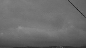 Bludný - Rajnochovice Troják - Bludný - Rajnochovice Troják - 31.12.2025 v 07:01 Bludný - Rajnochovice Troják - Bludný - Rajnochovice Troják - 31.12.2025 v 07:01