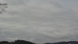 Bludný - Rajnochovice Troják - Bludný - Rajnochovice Troják - 25.2.2026 v 10:01 Bludný - Rajnochovice Troják - Bludný - Rajnochovice Troják - 25.2.2026 v 10:01