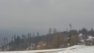 Bludný - Rajnochovice Troják - Bludný - Rajnochovice Troják - 1.4.2026 v 09:31 Bludný - Rajnochovice Troják - Bludný - Rajnochovice Troják - 1.4.2026 v 09:31