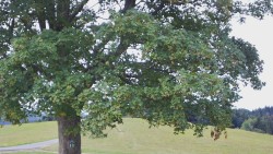 Wędrówka piesza – Rajnochovice Troják