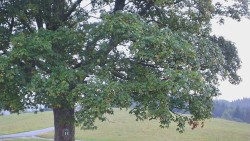 Wędrówka piesza – Rajnochovice Troják