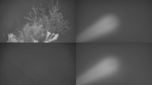 Bludný - Rajnochovice Troják - Sdružený snímek Bludný - 25.4.2024 v 04:31