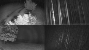 Bludný - Rajnochovice Troják - Sdružený snímek Bludný - 21.5.2025 v 22:01 Bludný - Rajnochovice Troják - Sdružený snímek Bludný - 21.5.2025 v 22:01