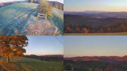 Sdružený snímek Bludný