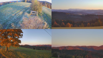 Snímek 20.10.2025 v 07:31