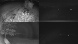 Sdružený snímek Bludný