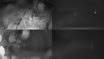 Snímek    28.10.2025 v 17:31
