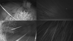 Sdružený snímek Bludný