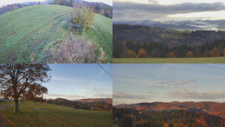 Sdružený snímek Bludný