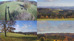 Sdružený snímek Bludný