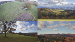 Sdružený snímek Bludný