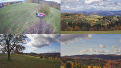 Sdružený snímek Bludný